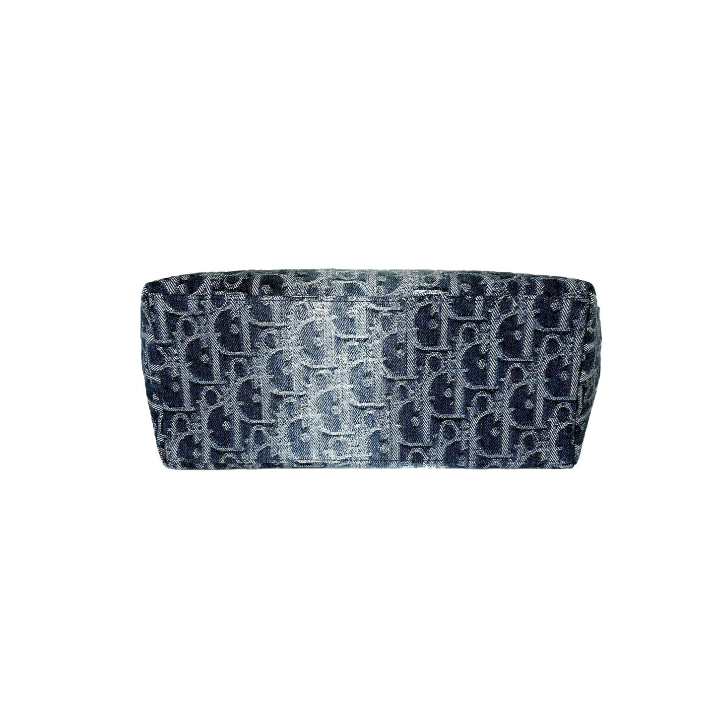 DiorTravel Nomad Pouch Blue Oblique