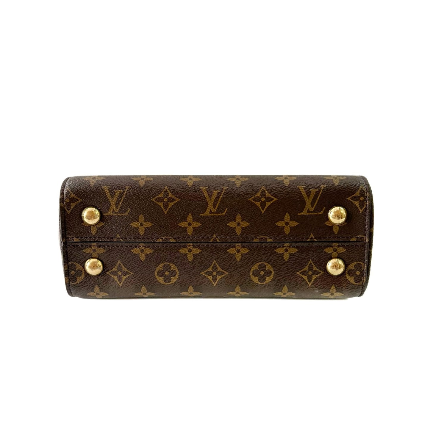 Cluny MM Monogram and Leather